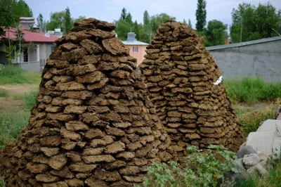 Getrocknete Misthaufen als Brennmaterial