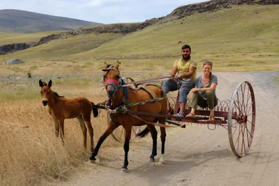 Traditionelle Art, Heu und Stroh auf dem Feld zusammen zu rechen