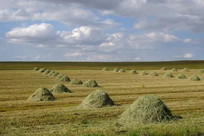 Türkische Kleinstrukturen 😉