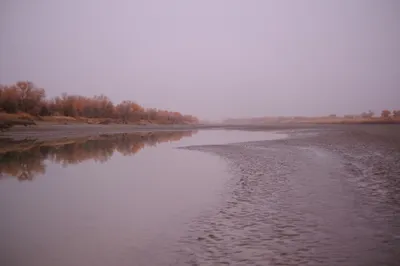 Fluss, der in der Wüste versickert.