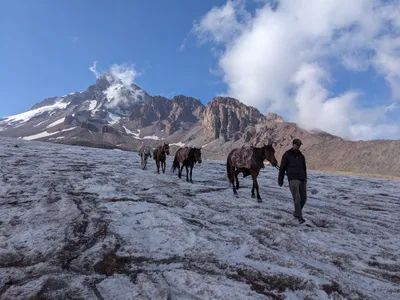 Pferde auf dem Gletscher? Klar!
